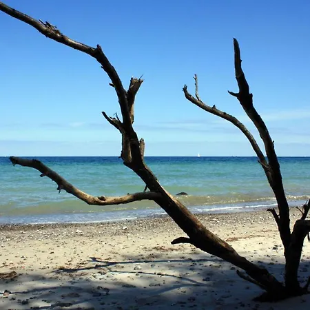 Lange Lorenzen Ostseebad Nienhagen