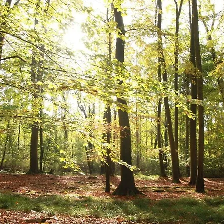 Appartement Lange Lorenzen Ostseebad Nienhagen